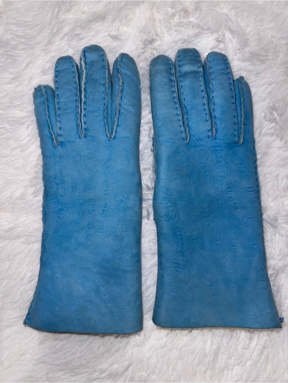 Dooney & Bourke Sky Blue Leather Women's Gloves
